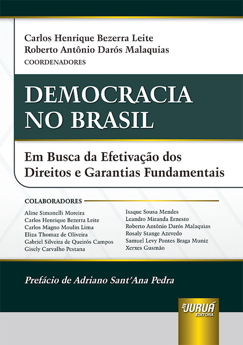 Democracia no Brasil - Em Busca da Efetiva??o dos Direitos e Garantias Fundamentais